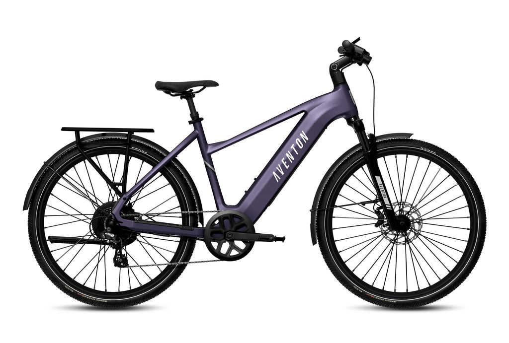 Level 3 Ebike