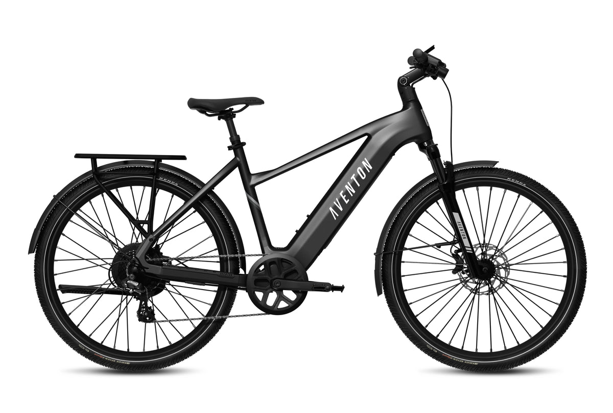 Level 3 Ebike