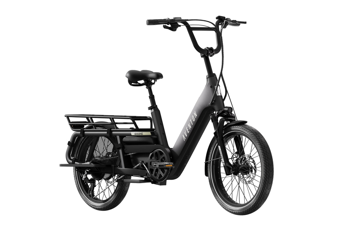 Abound LR Ebike