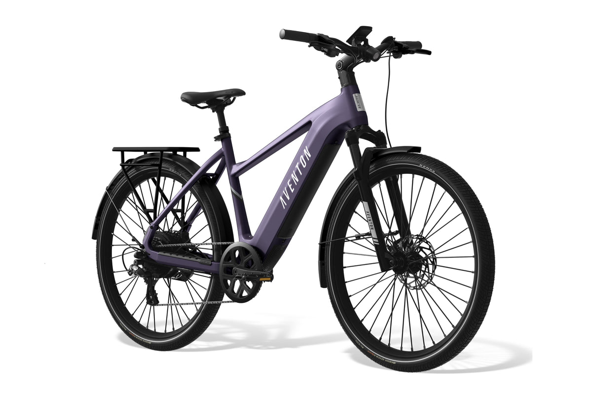 Level 3 Ebike