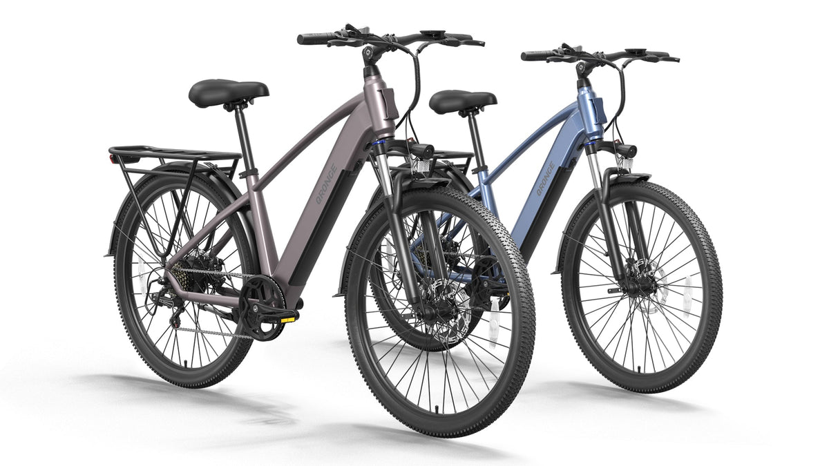 Discoverer*2 Ebike