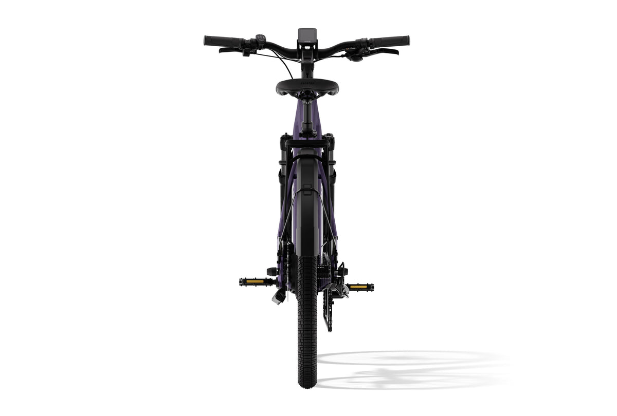 Level 3 Ebike