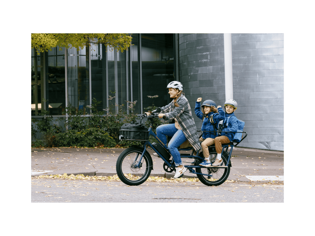 RadWagon™ Electric Cargo Bike