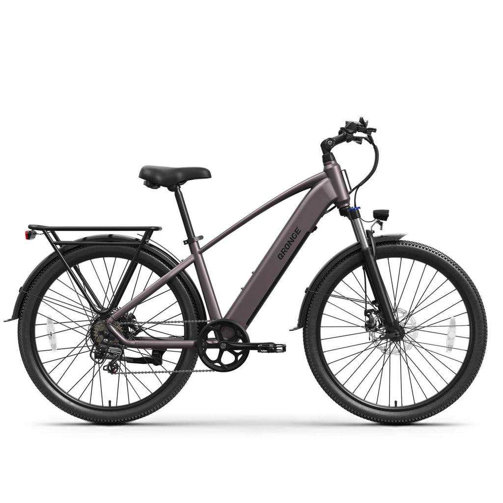 Discoverer Ebike