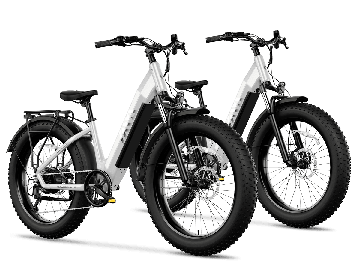 TST® Combo Sale Dreamer 26" Step-Thru Fat Tire Electric Bike