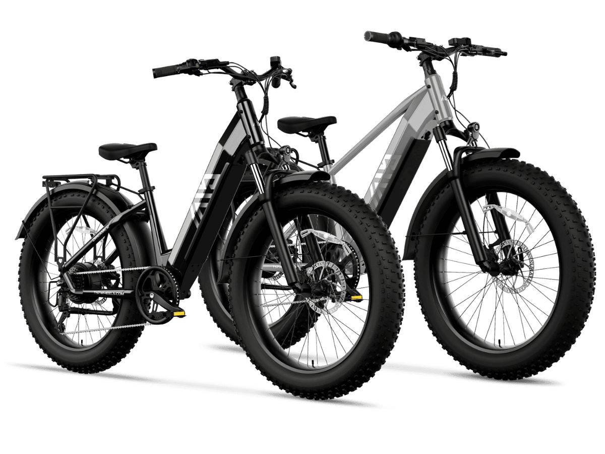 TST® Combo Sale Defender+Dreamer 26" Fat Tire Ebike For Adult