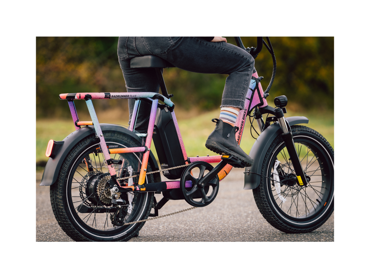 RadRunner™ Plus Electric Cargo Utility Bike