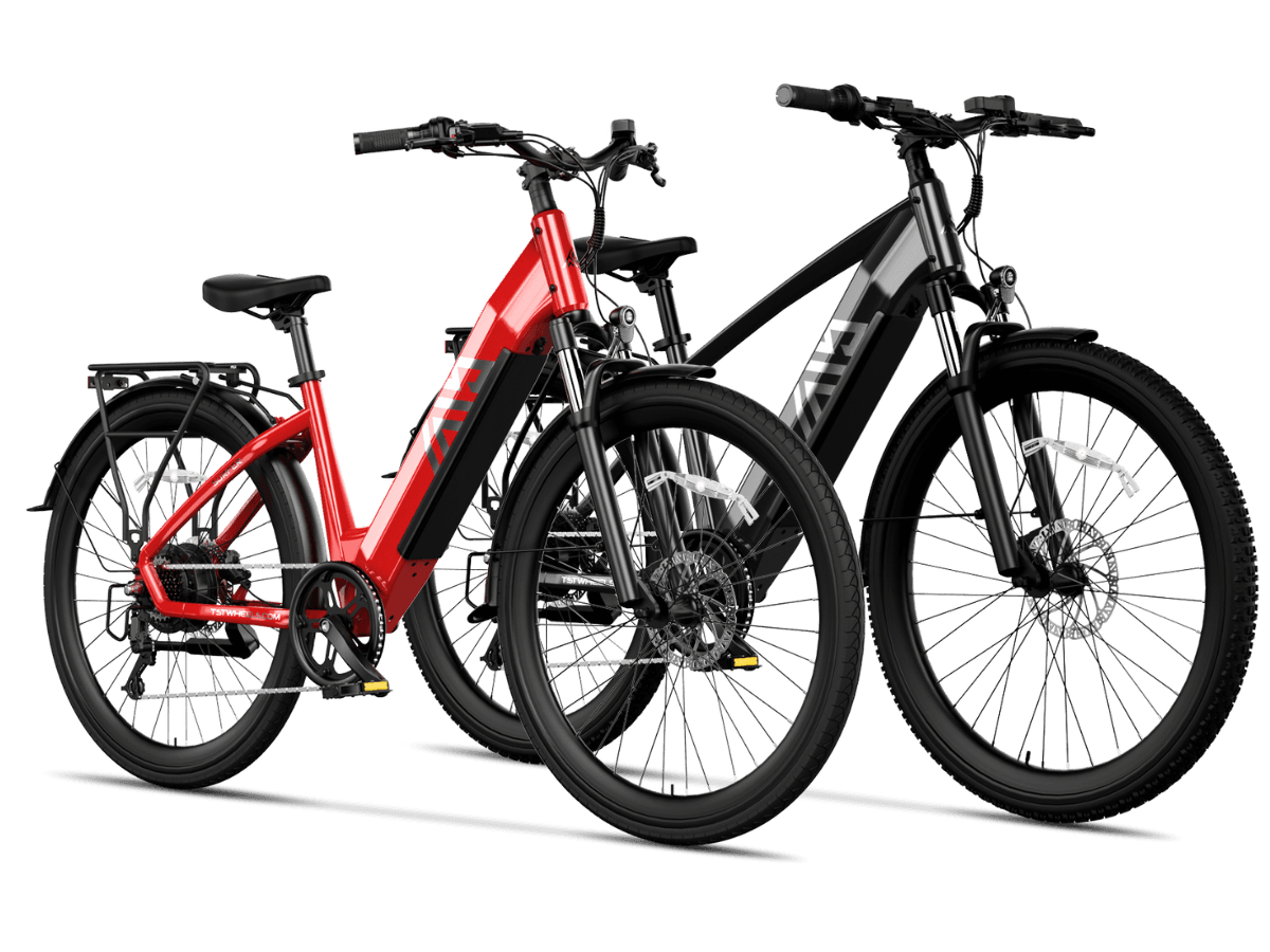 TST® Combo Sale Flyer+Surfer 27.5" Commuter Convenience Electric Bike