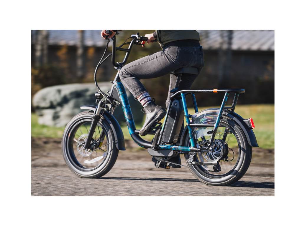 RadRunner™ Plus Electric Cargo Utility Bike