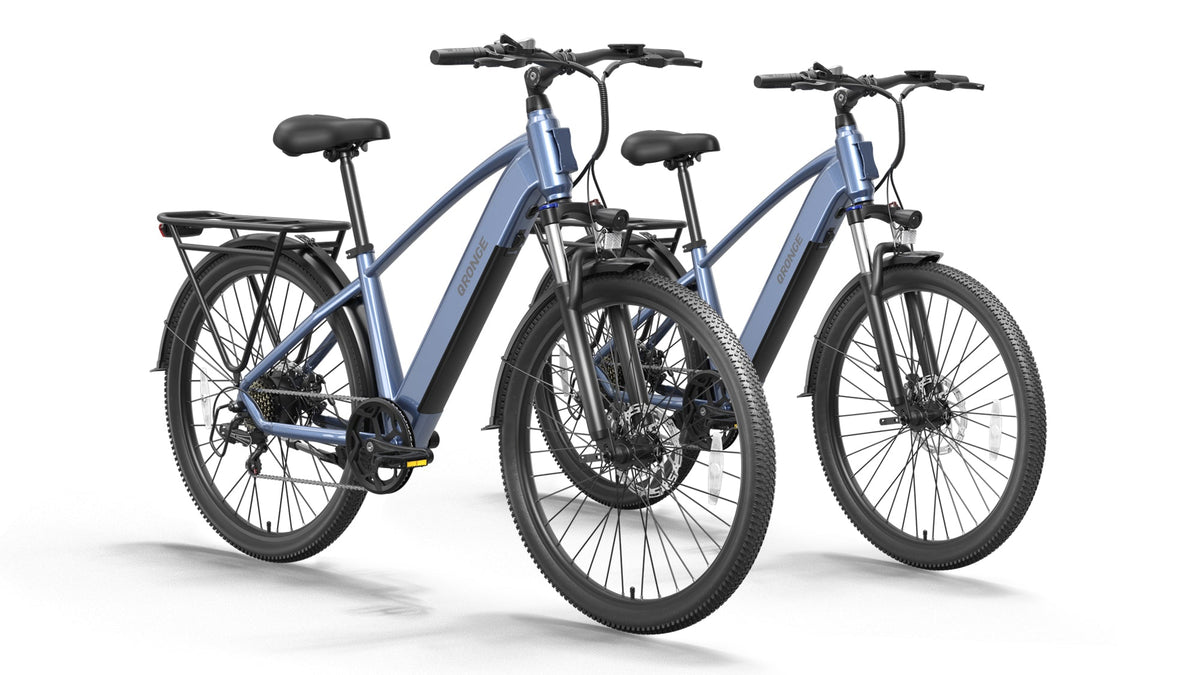 Discoverer*2 Ebike