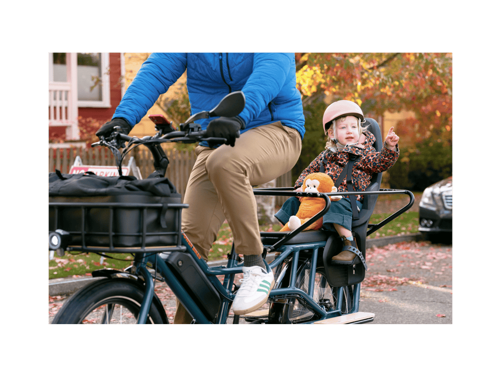 RadWagon™ Electric Cargo Bike