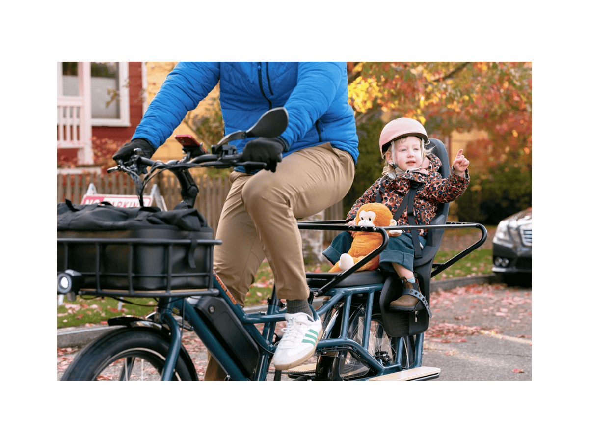 RadWagon™ Electric Cargo Bike
