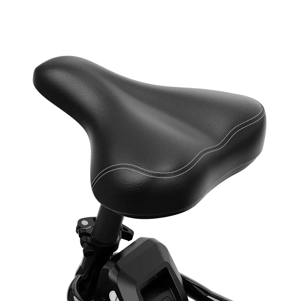 Aipas® A4 Gentry Ebike