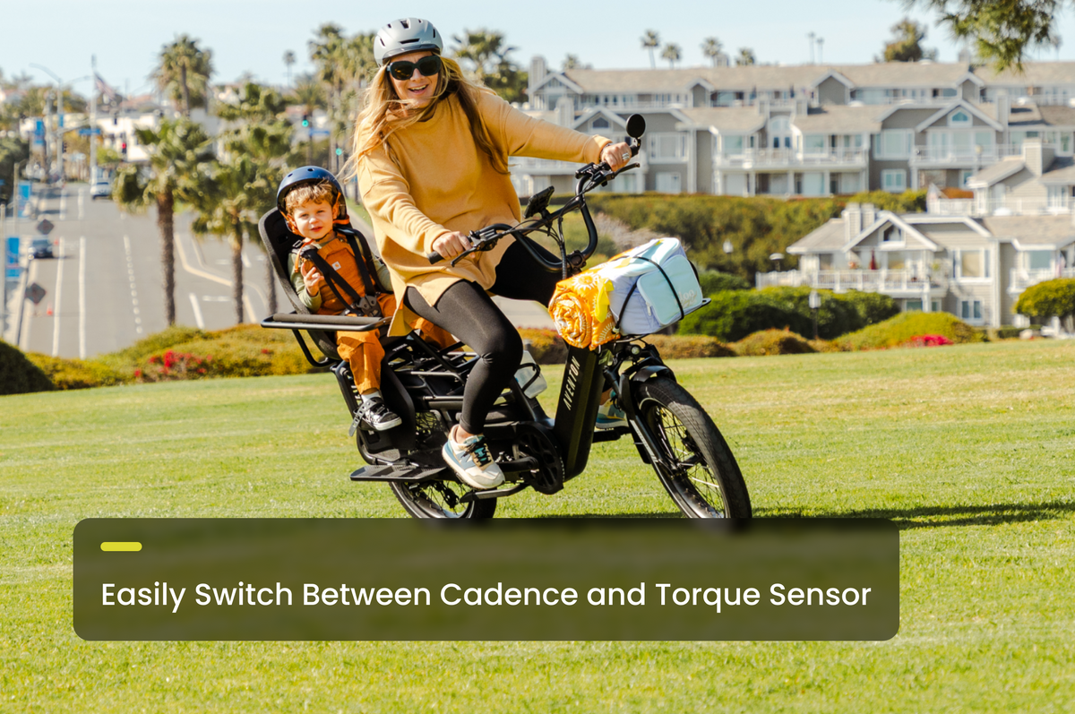 Abound LR Ebike