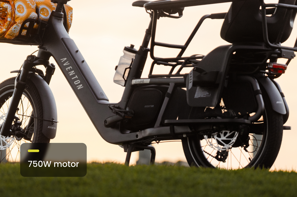 Abound LR Ebike