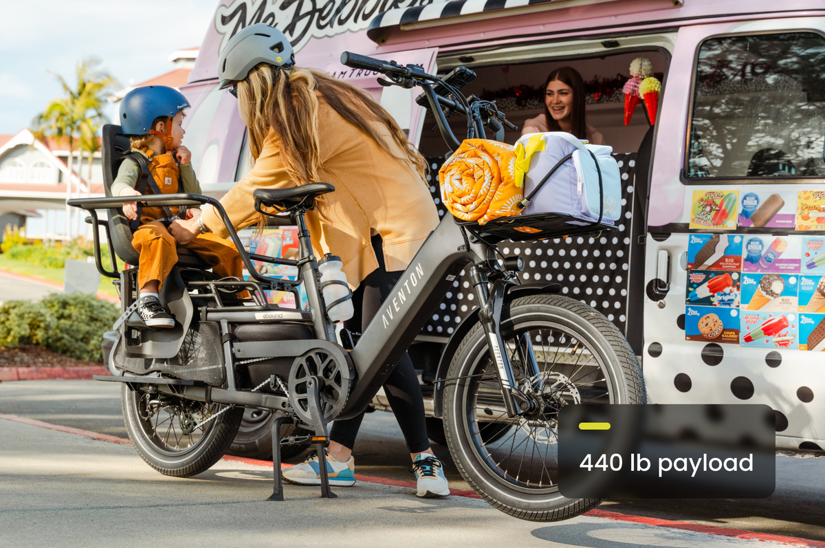 Abound LR Ebike