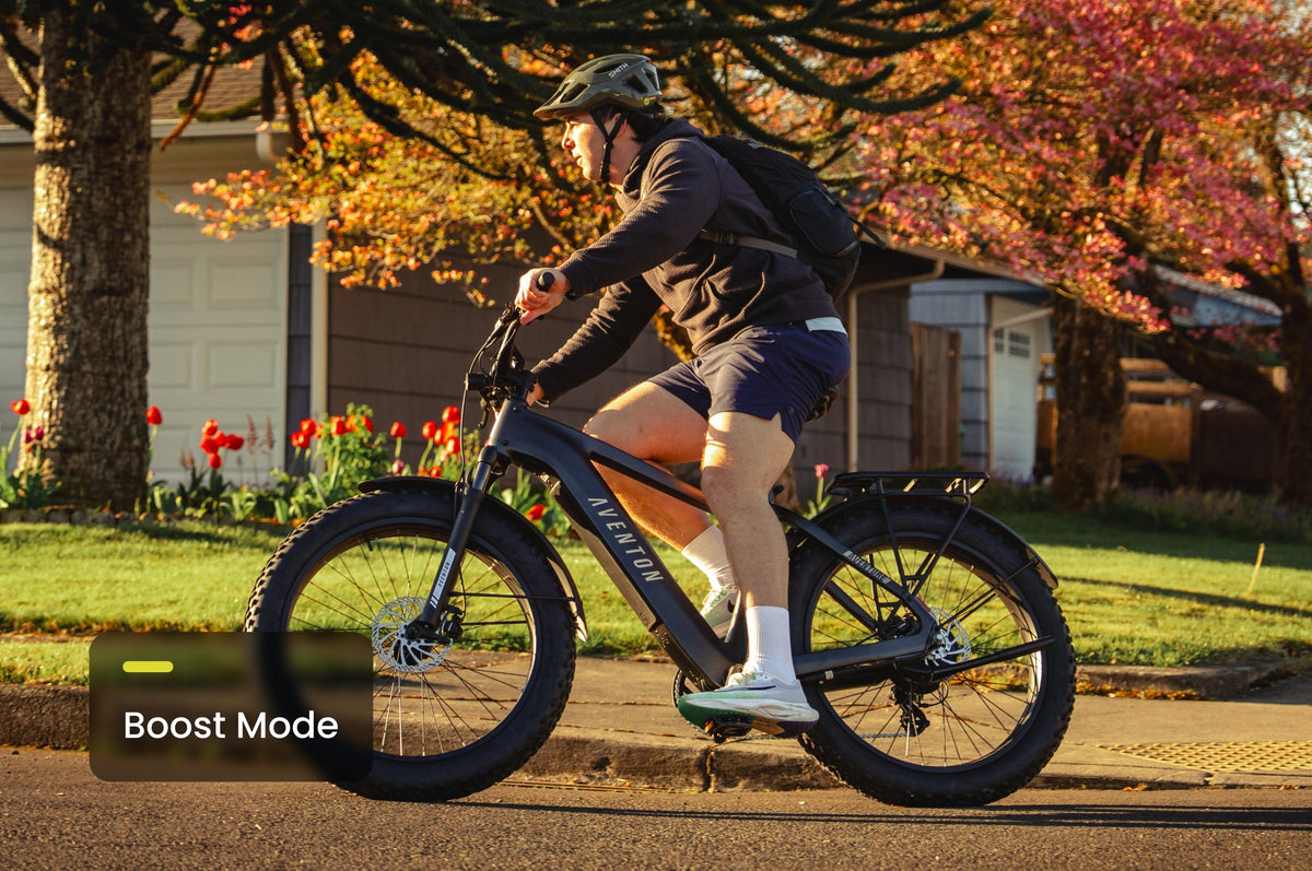 Aventure 3 Step-Through Ebike