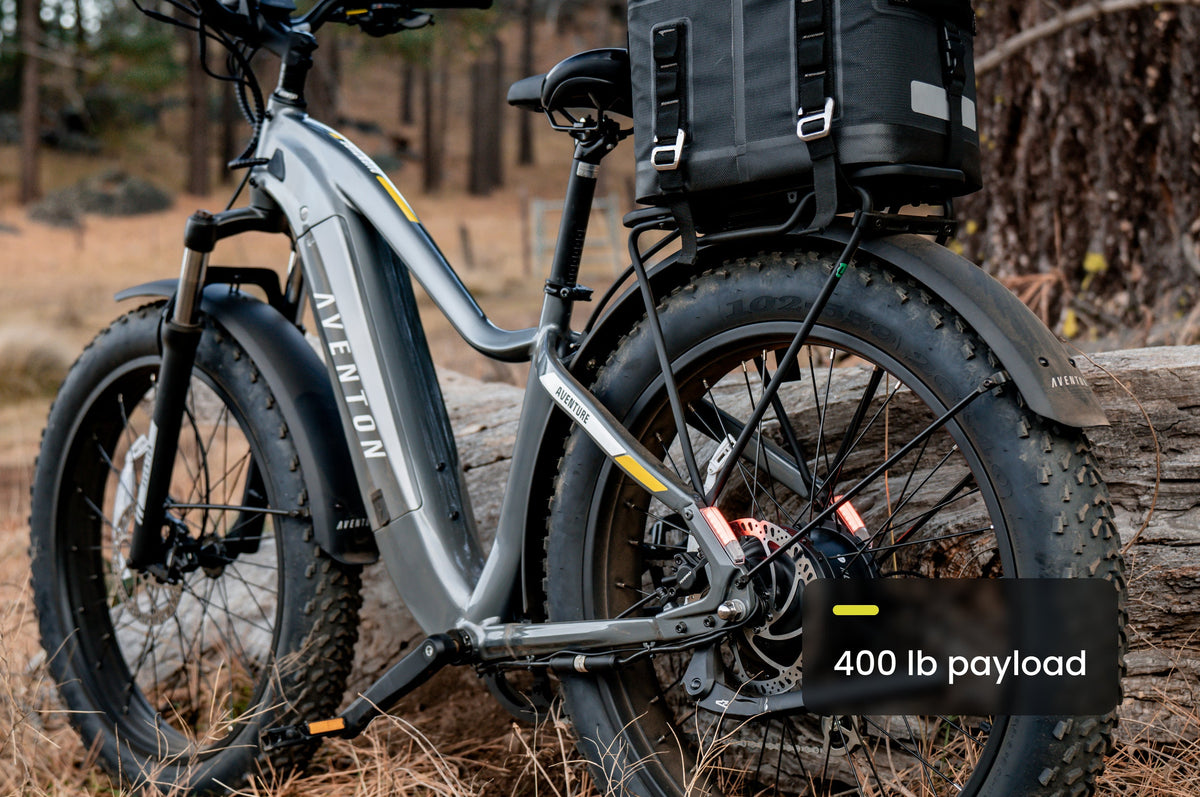 Aventure 2 Step-Through Ebike