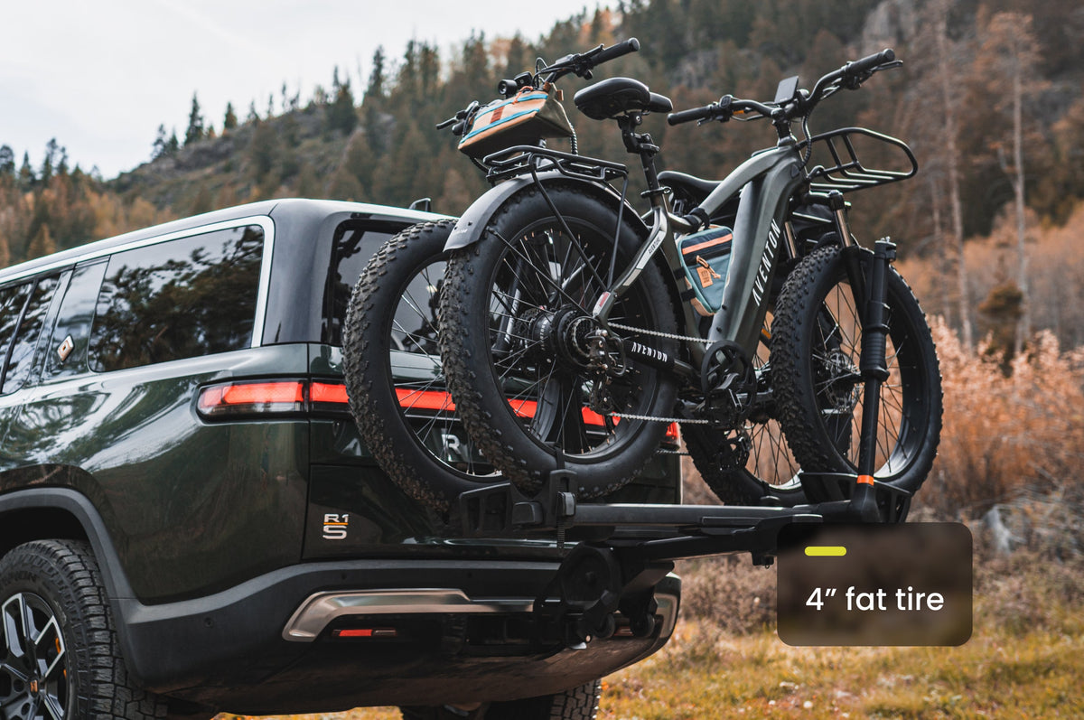 Aventure 2 Step-Through Ebike