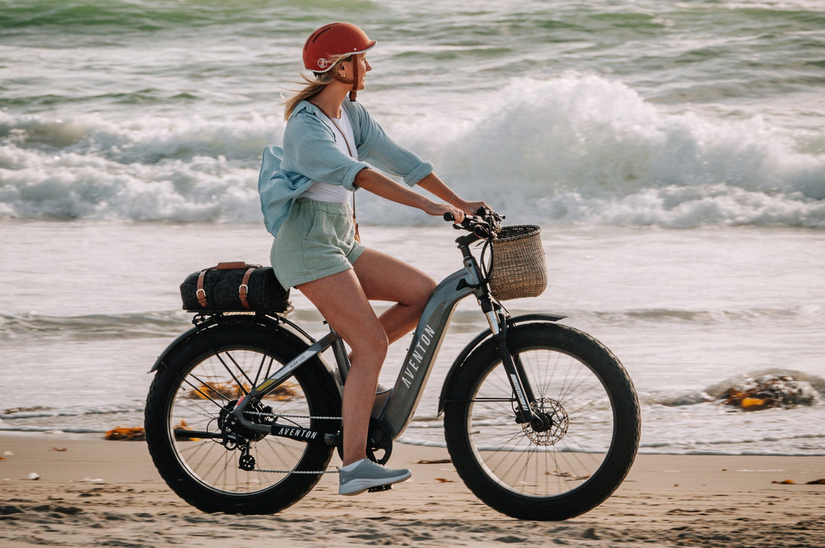 Aventure 2 Step-Through Ebike