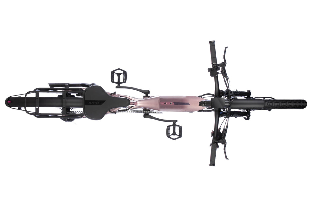 Level 2 Step-Through Ebike