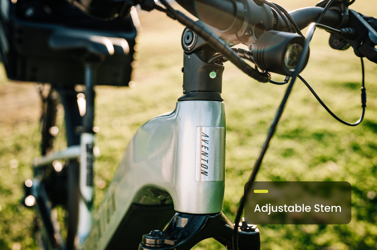 Level 3 Step-Through Ebike