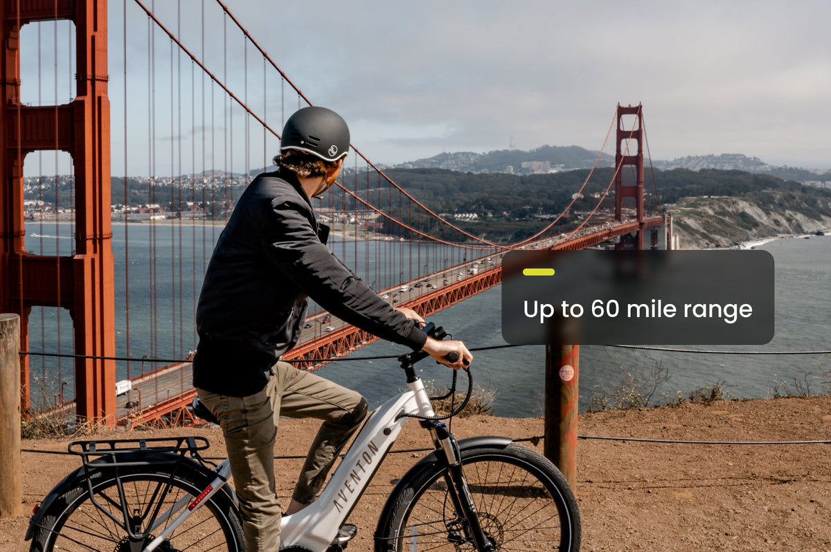 Level 2 Ebike