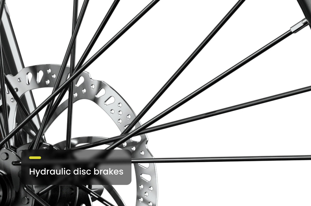 Level 2 Step-Through Ebike