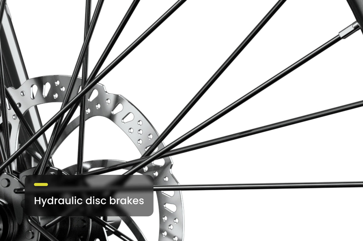 Level 2 Step-Through Ebike