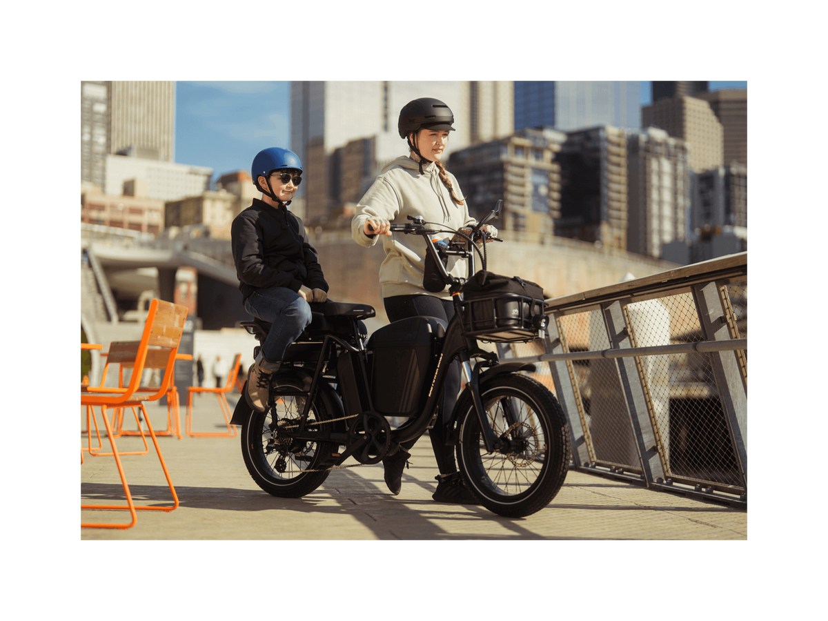 RadRunner™ Plus Electric Cargo Utility Bike