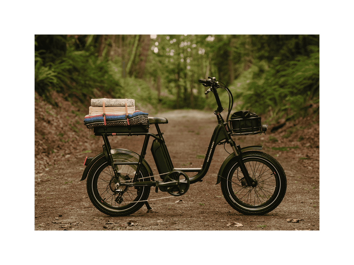 RadRunner™ Plus Electric Cargo Utility Bike