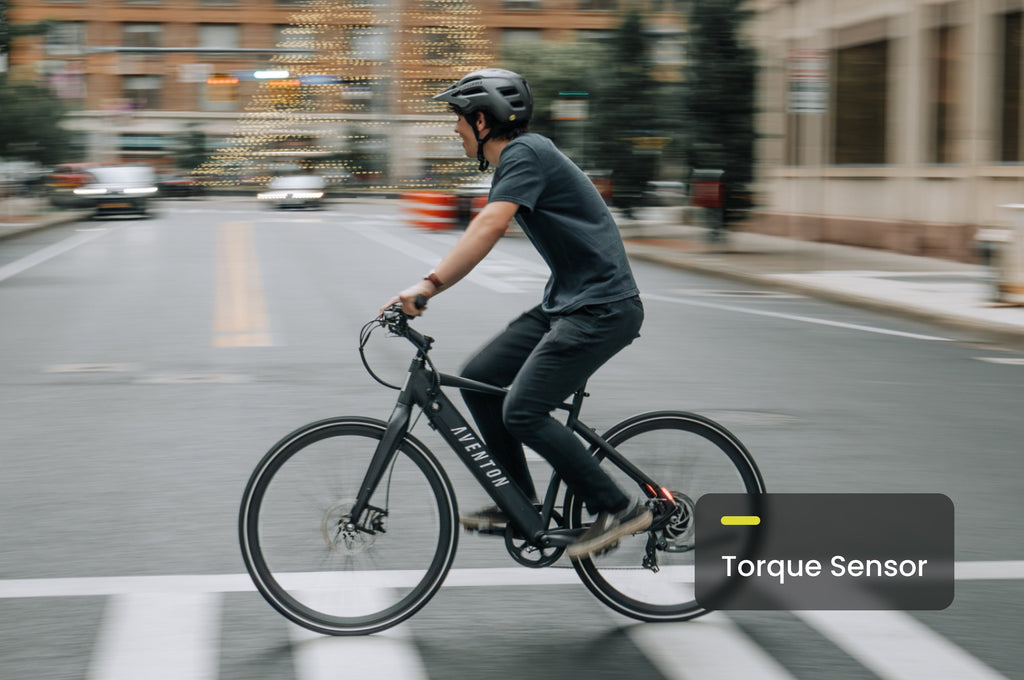 Soltera 2 Ebike