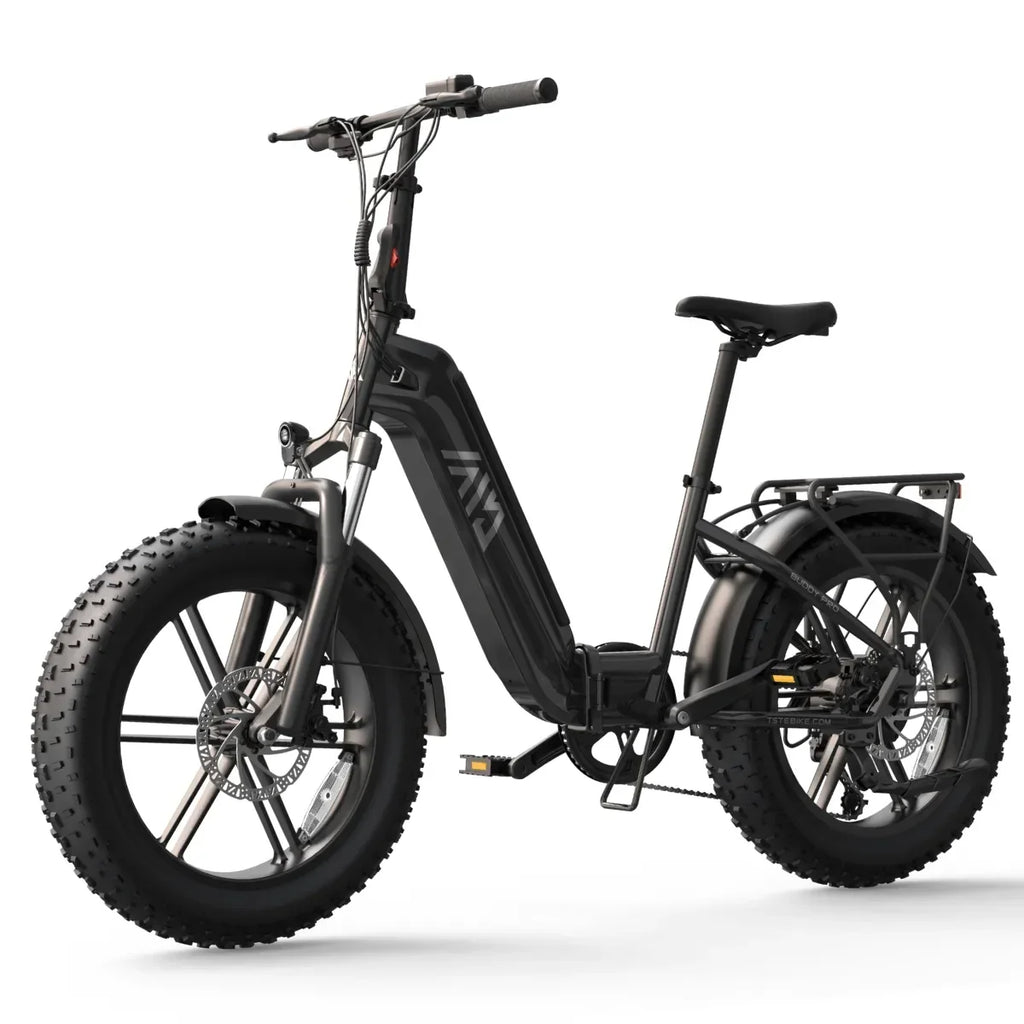 TST® Buddy Pro 20''  Folding Ebike