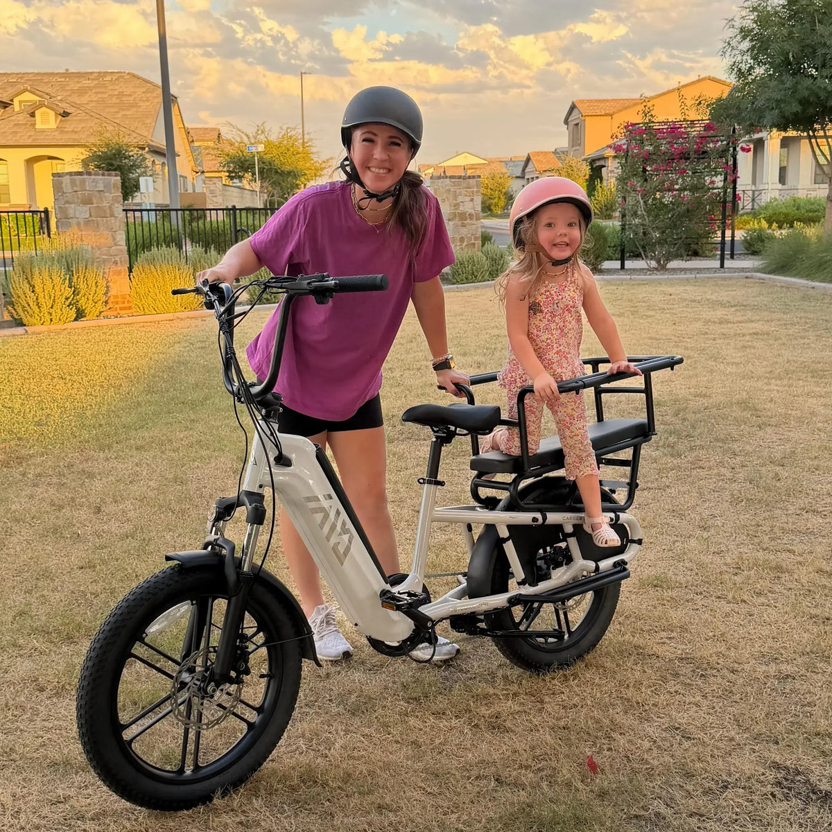 TST® Carrier 20'' Cargo Electric Bike