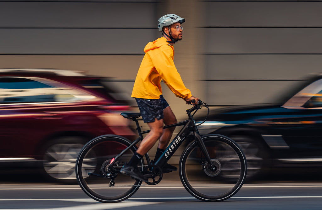 Soltera 2 Ebike