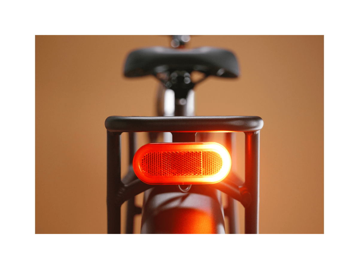 Radster™ Trail Electric Off-Road Bike