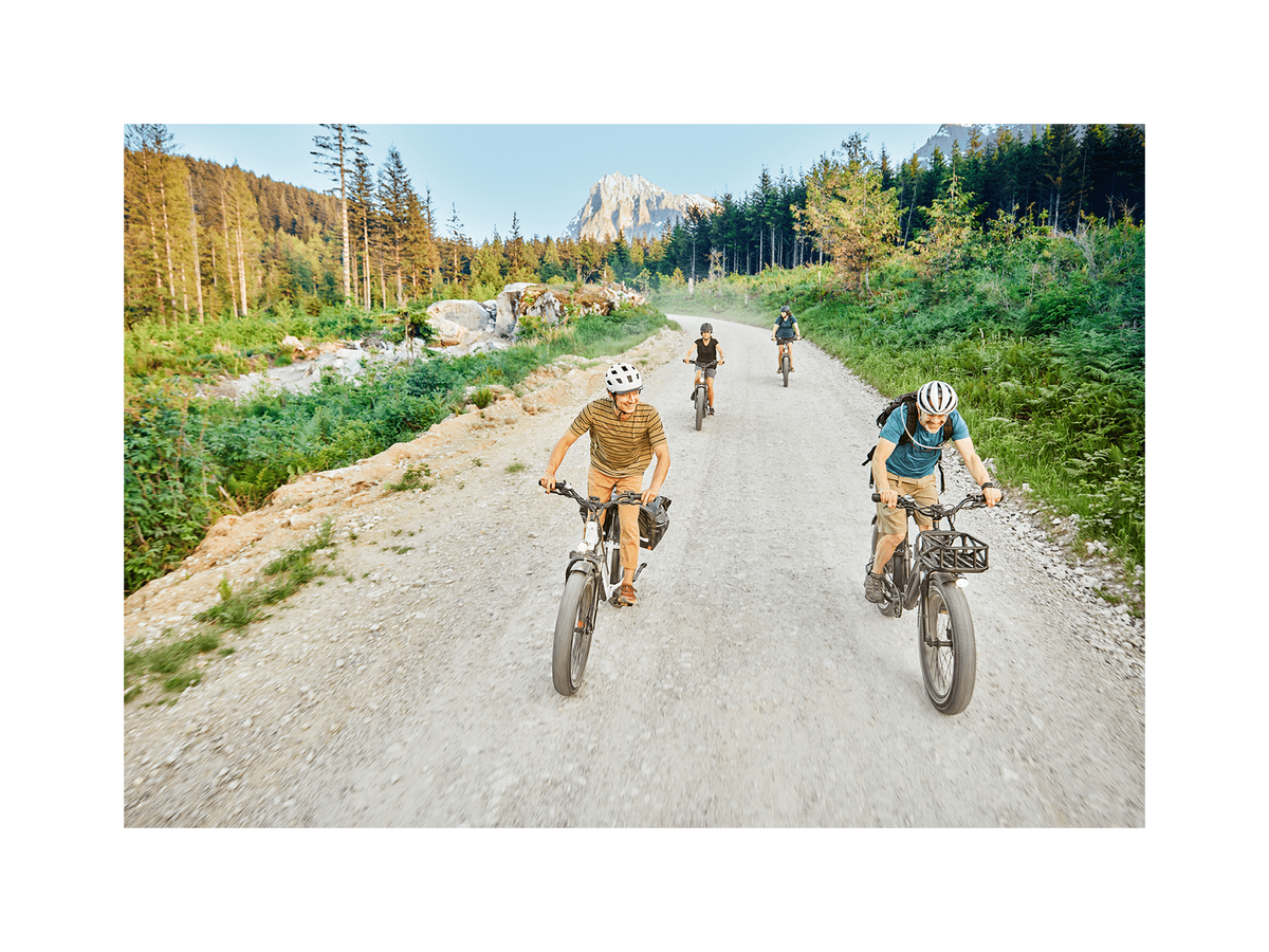 RadRover™ 6 Plus Electric Fat Tire Bike